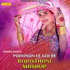 PADOSAN LE GAI RE RAJASTHANI MASHUP